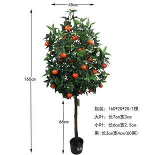 仿真橘水果橘树绿植水果仿真砂糖柿子石XRS-251榴子客厅厂装饰拍