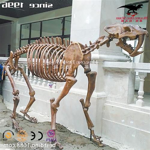 仿真动物恐龙骨架化石模型博物馆讲解展览主题公园引流艺术品摆件