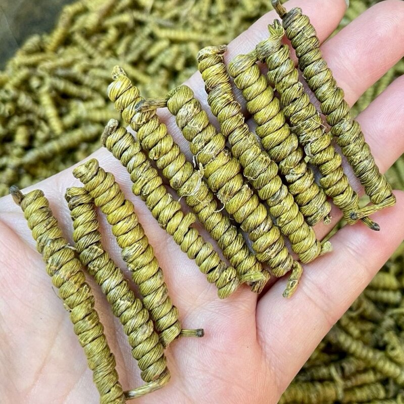 16种正宗铁皮石斛霍山枫斗紫皮石斛水草毛兰金石斛米石斛50-500克