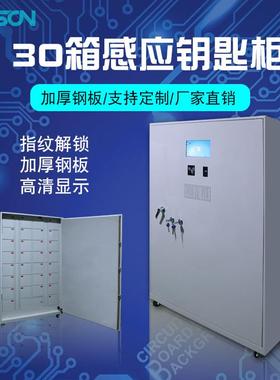 DOSON中立30箱感应钥匙柜智能钥匙柜钥匙管理柜钥匙箱钥匙存