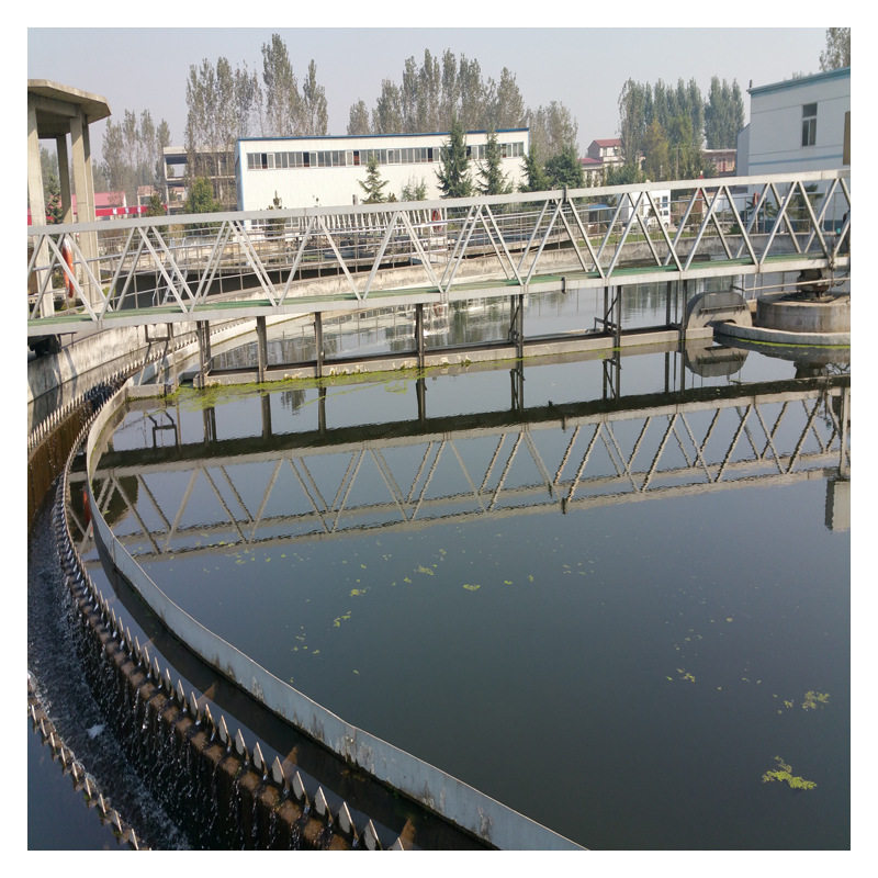 一万方市政污水厂中心传动刮泥机