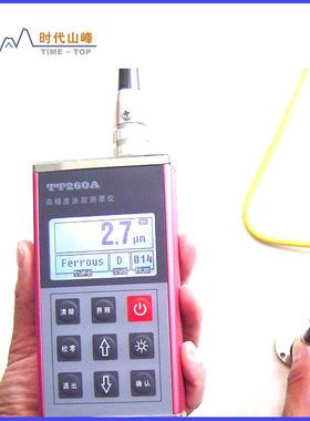 提供防腐层测厚仪TT260AF10/F5
