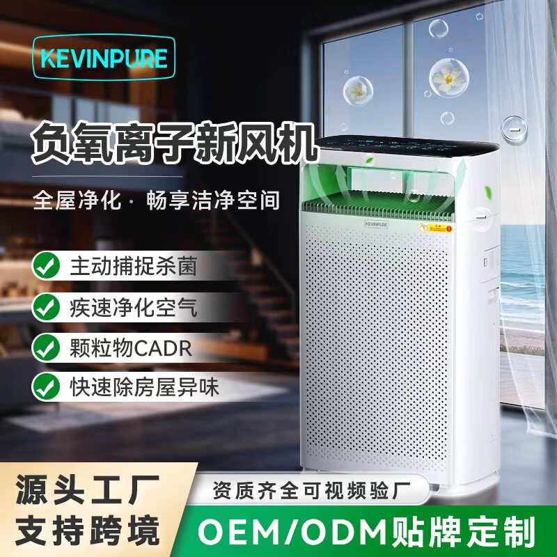 家用负离子除醛除味净化器