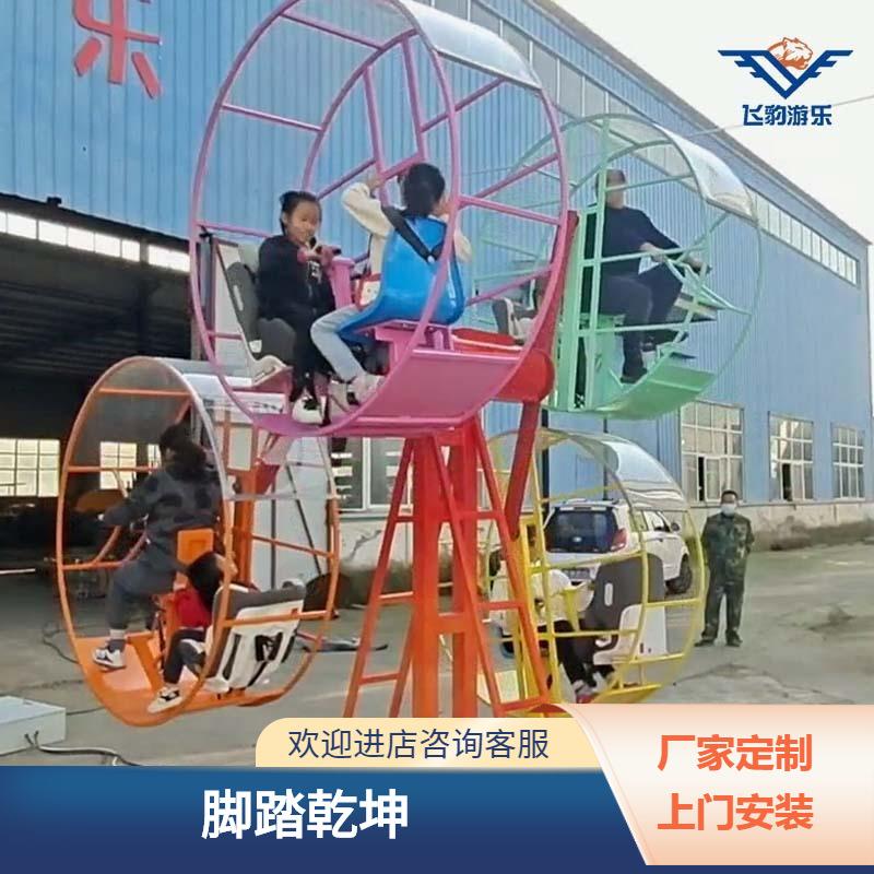景区生态园网红小型亲子互动摩天轮脚踏乾坤旋转秋千儿童游乐设备