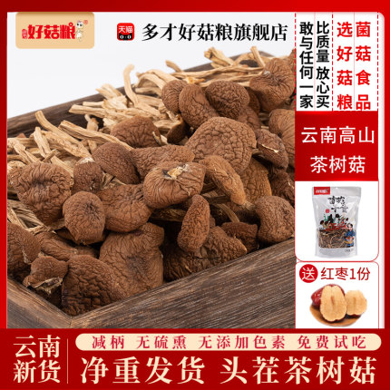 好菇粮当季头茬茶树菇干货未开伞小朵特产云南食用菌菇煲鸡汤食材