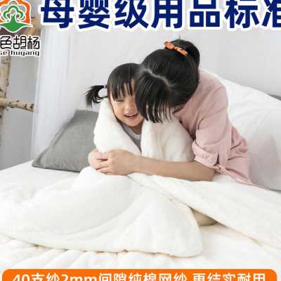 金色胡杨新疆棉被芯长绒棉花被春秋被冬款棉絮棉胎垫被褥子有网被