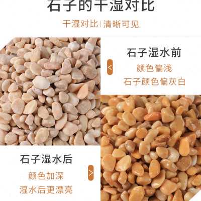 天然砾石黄色石子水洗磨石地面专用枯山水造景铺路胶粘石鹅卵石