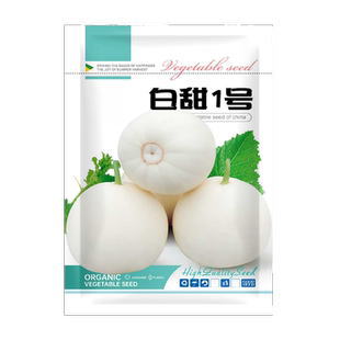 白甜一号甜瓜种子蜜瓜香瓜白皮红肉超甜菜瓜种籽大全春节四季水果