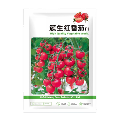 庆鲜庭四季簇生瀑布圣女果小番茄