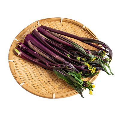 十月红菜苔种籽早熟菜苔种孑广东甜菜心菜花菜种子菜薹四季蔬菜种