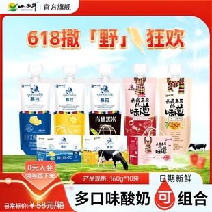脱脂无糖0脂肪牛奶0卡糖人专用主食代餐青海特产常温酸奶慕拉酸奶茶卡大青盐芝士儿童学生老人营养高钙早餐代餐奶高蛋白轻食餐健身