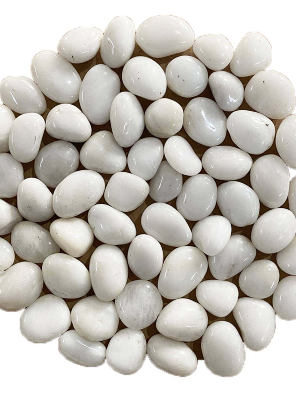 50斤白色抛光鹅卵石庭院铺地花园造景大小石头石子阳台装饰雨花石