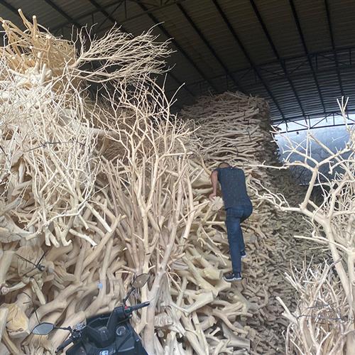 室内外装饰仿真树枝橱窗玄关枯枝摆件实木枯木树枝干