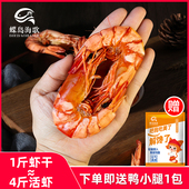 蝶岛海歌虾干即食九节虾干袋装 孕妇即食海鲜干货零食中大九节虾干