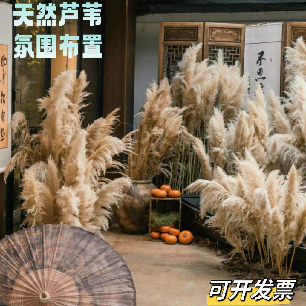 长芦苇花商场集市道具秋季装饰