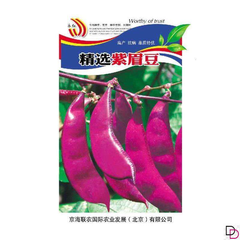紫扁豆紫眉豆红眉豆种子