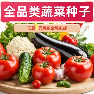 菜籽种大全原厂种子保证芽率