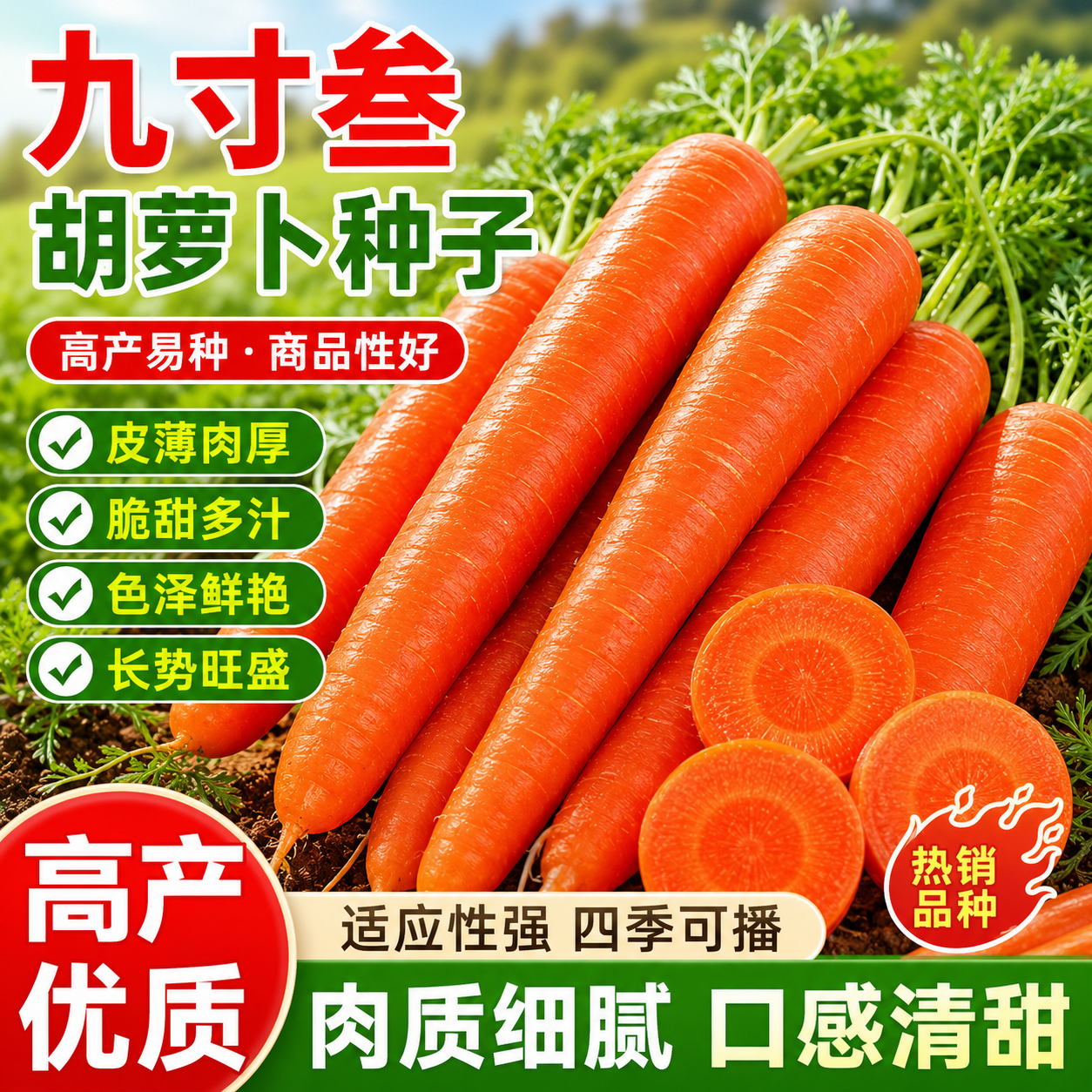 红芯九寸叁胡萝卜种子北方水果胡萝卜籽农家田园盆栽秋冬蔬菜种孑
