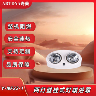 浴霸壁挂式免打孔灯暖风暖浴霸照明取暖器卫生间洗澡浴霸取暖灯