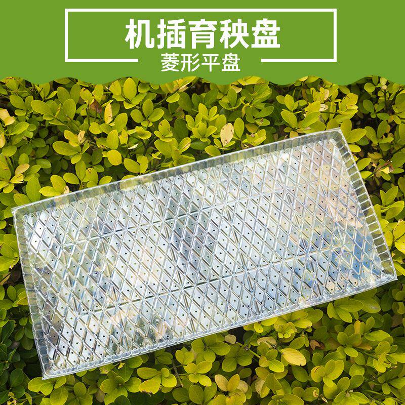 秧盘机插育菱形平盘软盘水稻苗9寸育苗盘透明加厚pvc插秧机免揭盘