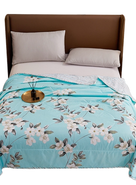 艾逸瑶选圣安娜夏被150*200cm JF-24107