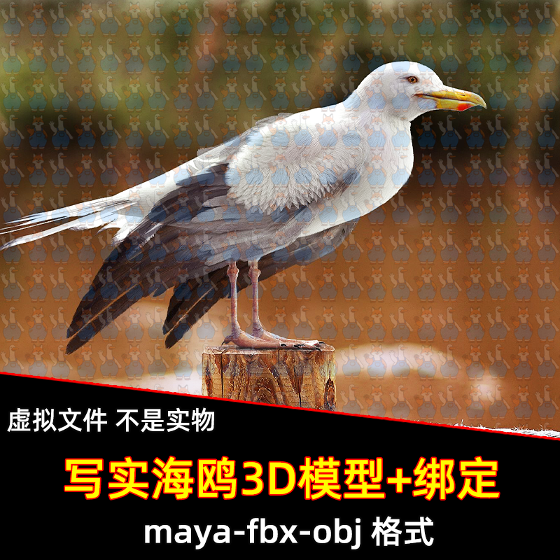 MAYA影视级写实海鸥3D模型白鸽鸟类骨骼绑定动物3A模型Turbosquid