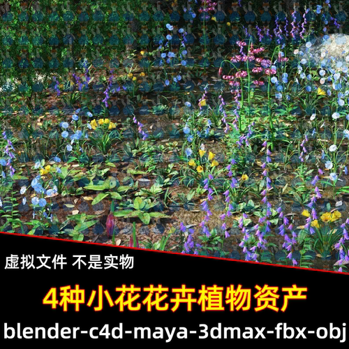 Blender写实小花花卉植物资产3d模型FBX OBJ C4D MAX MAYA unity
