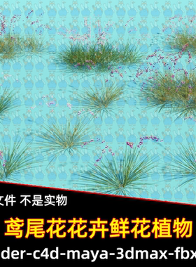 Blender c4d紫色鸢尾花花卉鲜花草丛植物3D模型FBX maya 3dmax