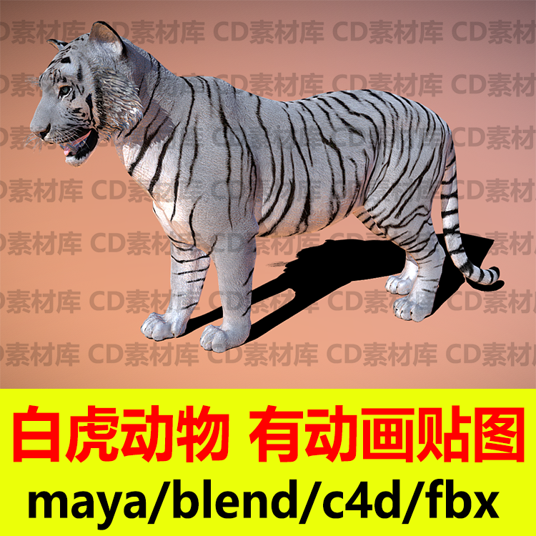 blender白虎动画动物c4d骨骼绑定模型3D影视模型maya fbx毛发纹理
