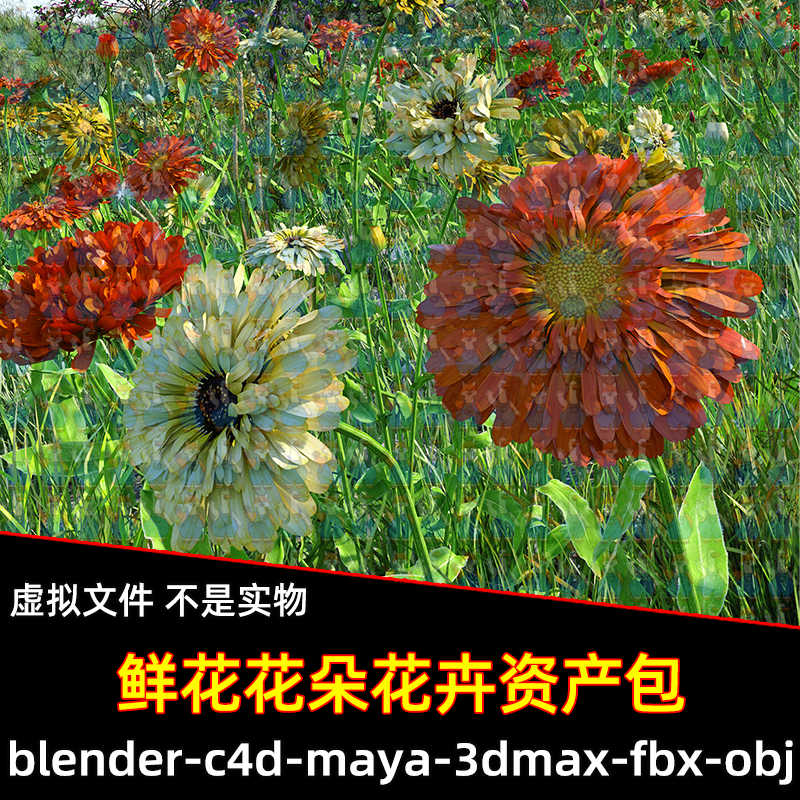 Blender c4d写实菊花小雏菊鲜花朵花卉资产包模型FBX maya 3dmax
