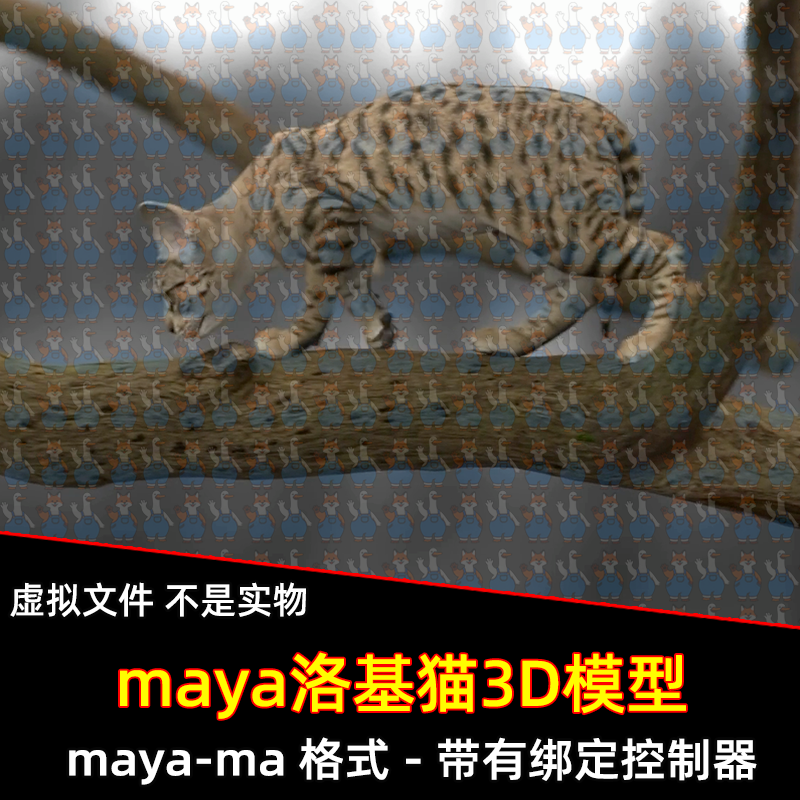maya影视级写实动物猫科动物洛基猫大花猫3D模型骨骼绑定控制器