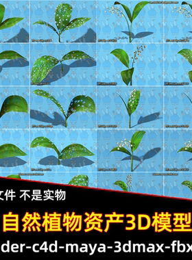 Blender花草资产库铃兰山谷百合花树叶绿叶绿色植物3D模型fbx obj
