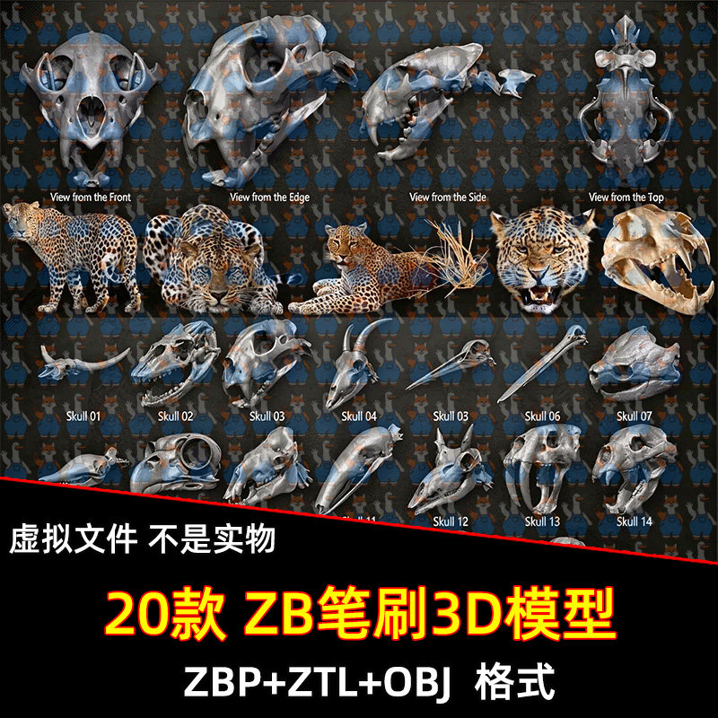 zbrush动物头骨兔子骆驼山羊豹鹤蜥蜴鼠狼雕刻笔刷stl打印3D模型