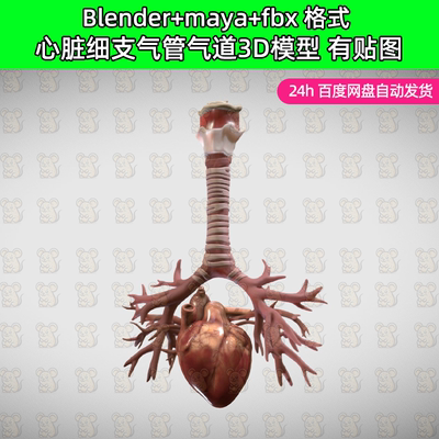 blender人体心脏支气管气道3D模型maya格式fbx建模设计素材