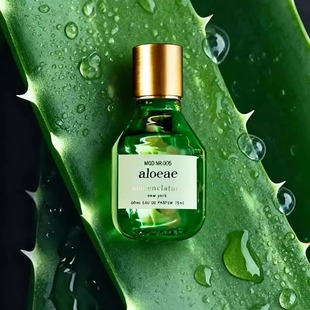 Nomenclature命名法芦荟006香水shiso绽放诗颂师尊香试香小样