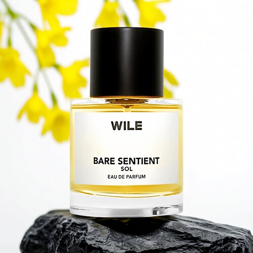 wile香水多款试香小样
