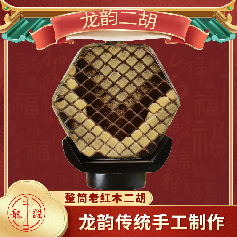 龙韵整筒老红木二胡乐器成人专业演奏独奏艺考胡琴二胡厂手工制作