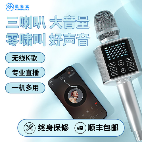 音响话筒一体麦克风聚会K歌唱歌