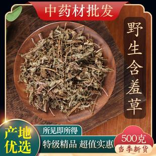 害羞草 中药材特级野生含羞草 红骨茎正品 新货怕羞草 感应草500克