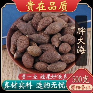 费手工精选特级胖大海润喉茶润嗓 茶散装 免邮 胖大海500g 花草茶叶