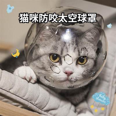 猫咪太空头套狗狗洗澡球罩防咬项圈宠物打针防舔猫头罩透气防抓伤