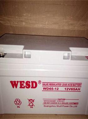 WESD蓄电池WD65-12 环保免维护储能电瓶 基站UPS控制柜应急后备电
