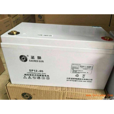 铅酸蓄电池SP12-65 12v65ah直流屏UPS机房设备专用EPS蓄电瓶