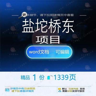 盐坨桥东项目相关方案 方案项目编辑相关桥精品文档word可编辑东