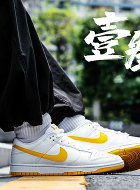 Nike Dunk男子防滑耐磨拼色轻便舒适百搭低帮板鞋DV0831-110