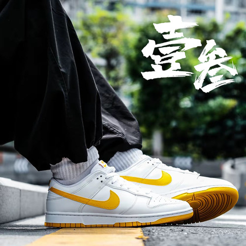 Nike Dunk男子防滑耐磨拼色轻便舒适百搭低帮板鞋DV0831-110