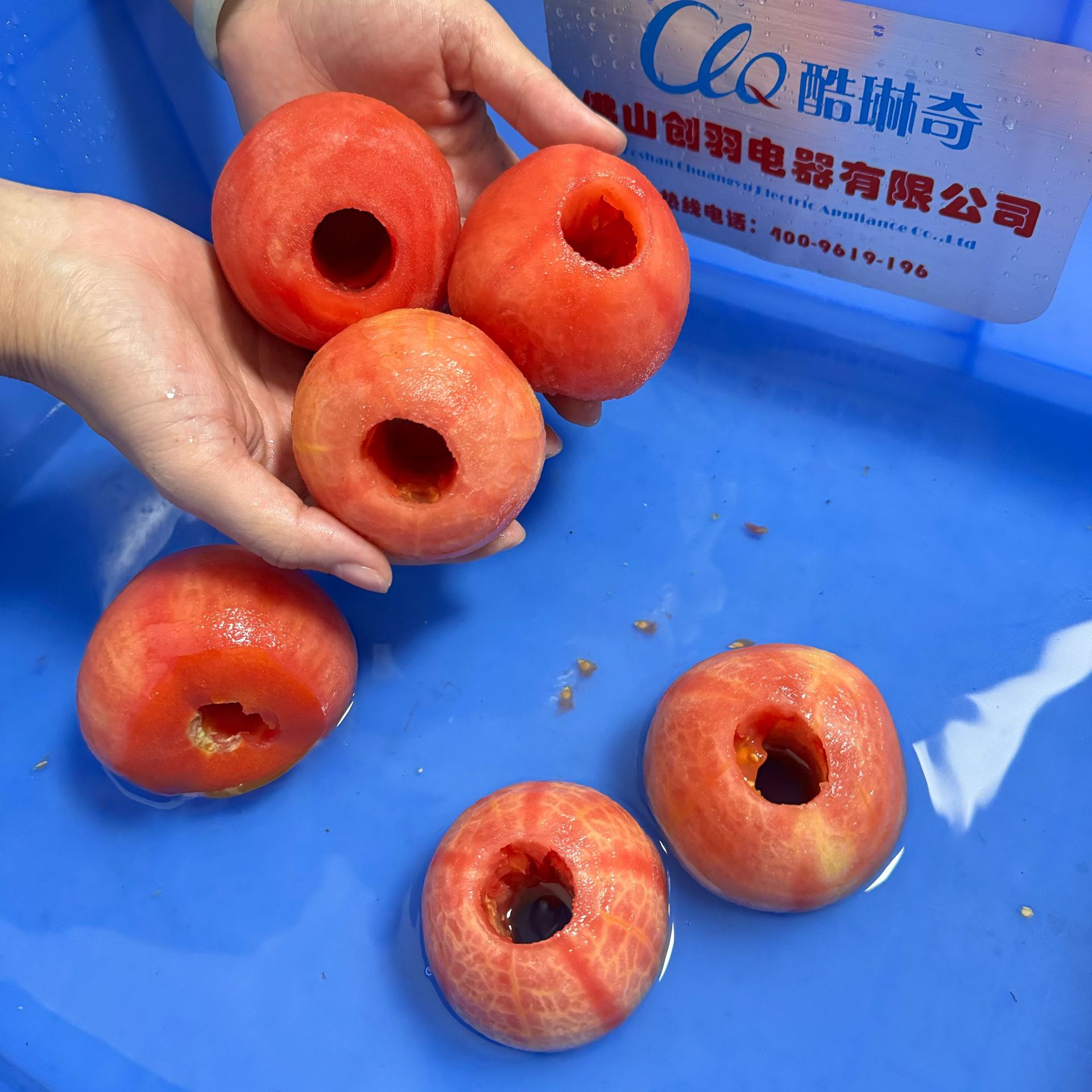 双头不锈钢水果削皮去核切瓣机