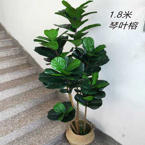 造景绿植 家用简约网红仿真树琴叶榕客厅店铺工程装饰假树盆栽