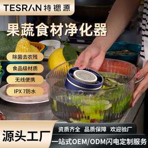 特锶源全自动食材净化器洗菜神器食材净化器除菌除农残果蔬清洗机
