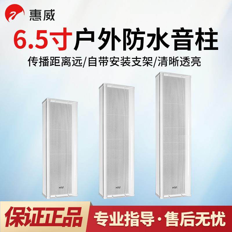 Hivi/惠威C8062C8063C8064音柱室外壁挂音箱操场定压音响